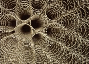 Cages
